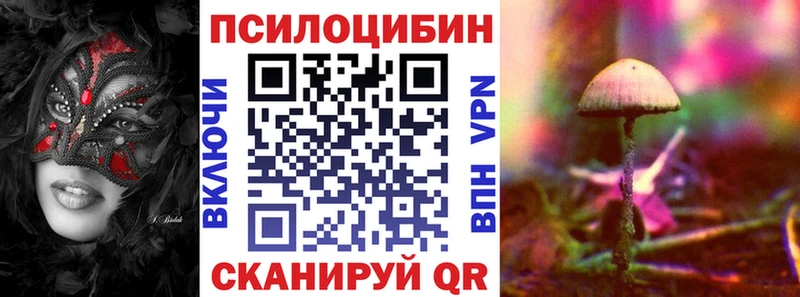 купить наркоту  Княгинино  Галлюциногенные грибы GOLDEN TEACHER 